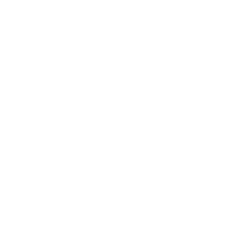Play Icon